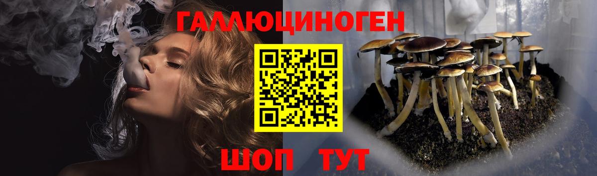 Псилоцибиновые грибы MAGIC MUSHROOMS  Вход с VPN  Назарово 